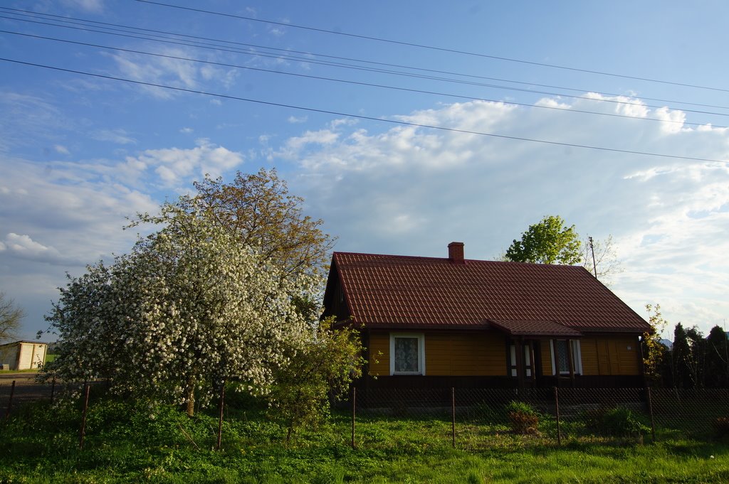 Dom na sprzedaż Opole  68m2 Foto 2