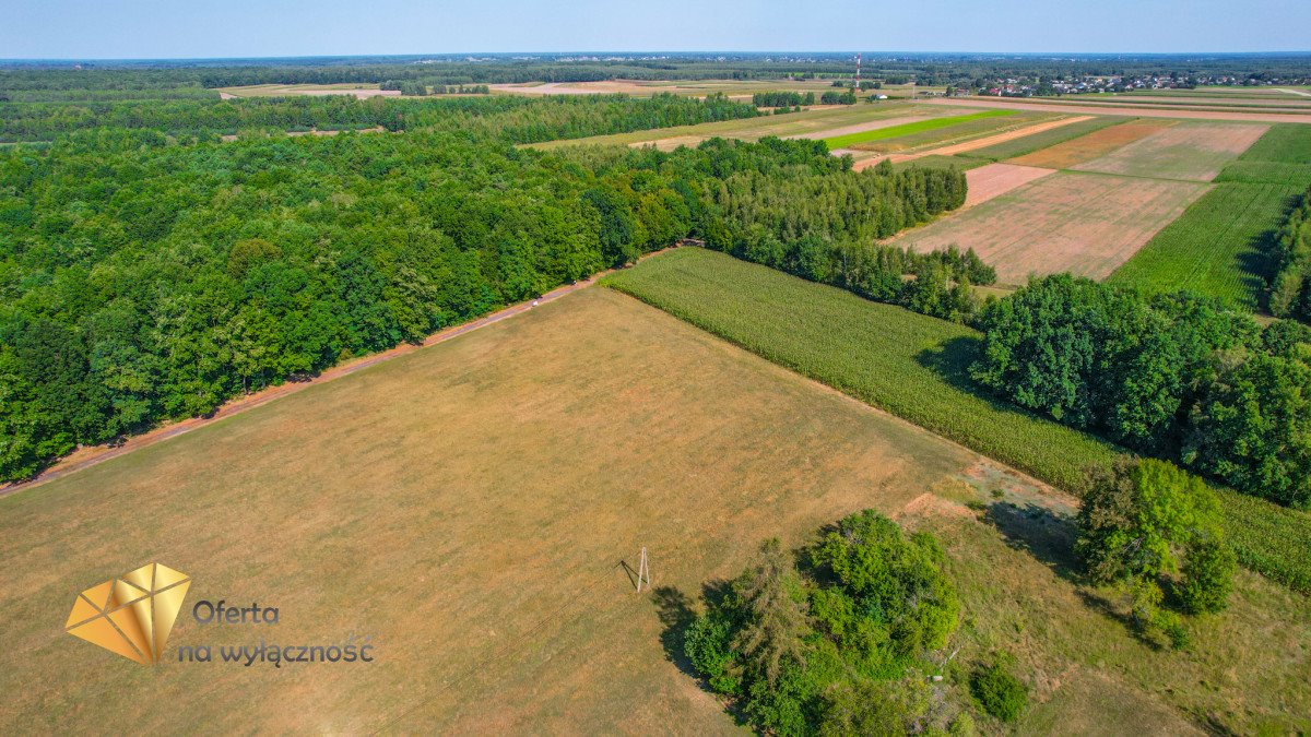 Działka budowlana na sprzedaż Kaznów-Kolonia  1 329m2 Foto 4