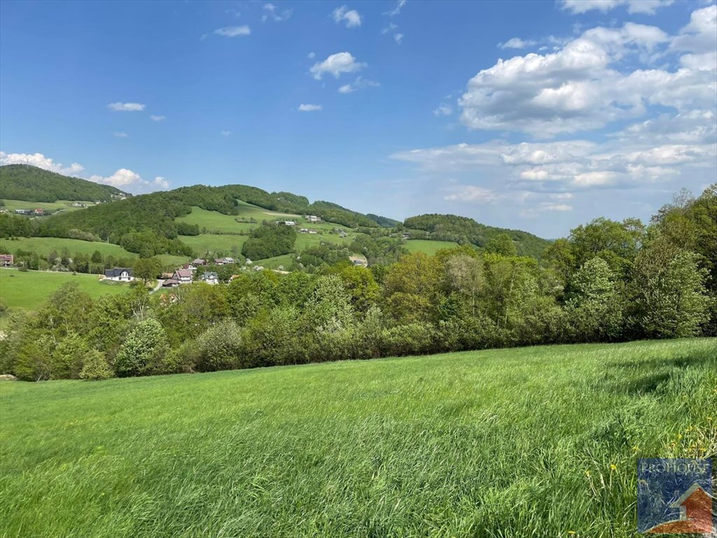 Działka 3014 m² z dostępem do asfaltu w Laskowej Laskowa  3 014m2 Foto 1