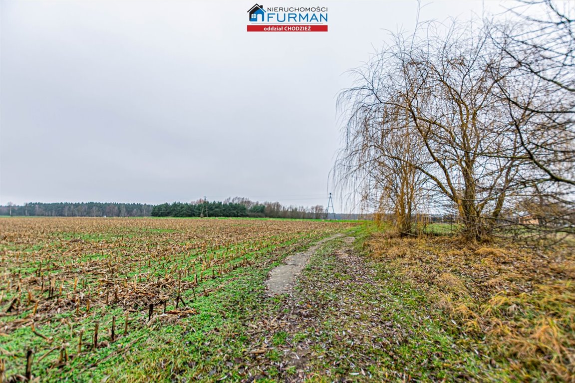 Działka budowlana na sprzedaż Boruchowo  14 300m2 Foto 4