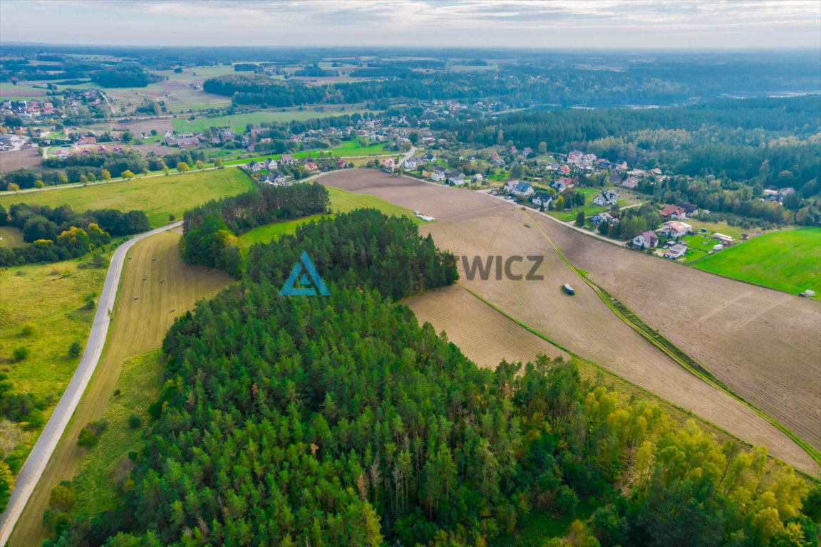 Działka rolna na sprzedaż Gołubie  102 067m2 Foto 9