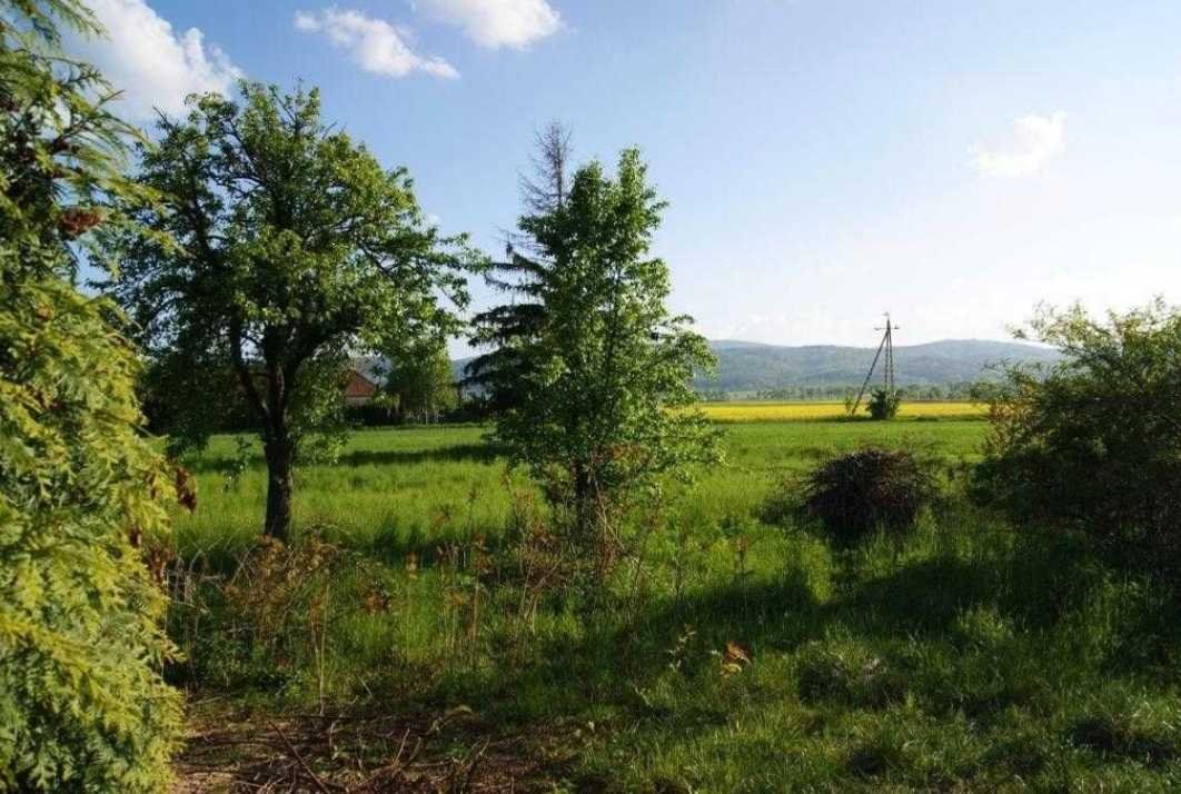 Działka inna na sprzedaż Pieszyce, Piskorzów  7 400m2 Foto 2