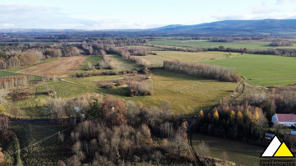 Działka budowlana na sprzedaż Wolimierz  6 000m2 Foto 11