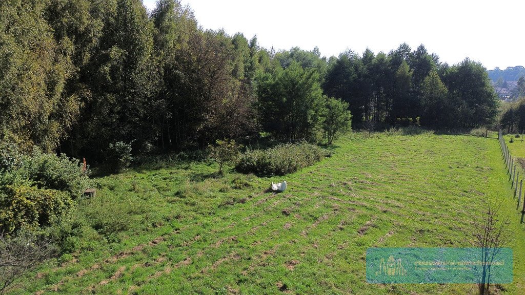 Działka budowlana na sprzedaż Rzeszów  4 500m2 Foto 2