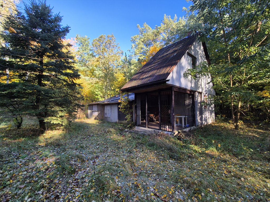 Urokliwy dom do remontu na 0,26 ha w Płyćwiu Płyćwia, 55  50m2 Foto 1
