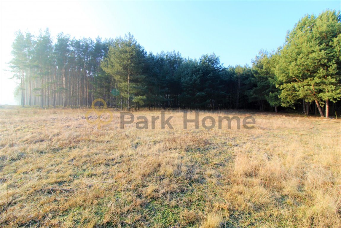 Na sprzedaż działka rolna z lasem 4 327 m² w okolicy Nowej Soli Nowa Sól, Zakęcie  4 327m2 Foto 1