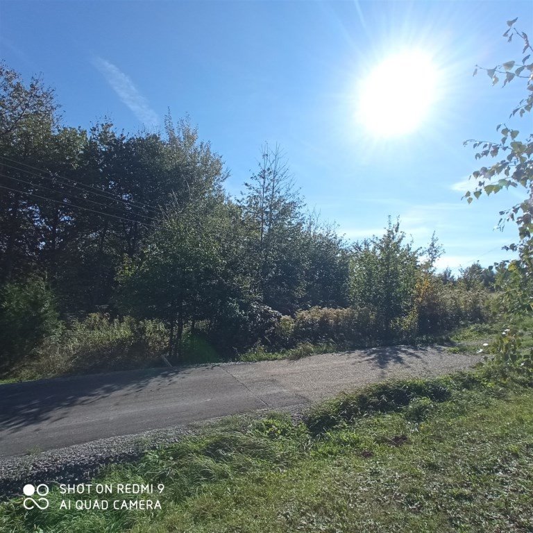 Działka 1,47 ha z lasem i warunkami zabudowy Wielopole Skrzyńskie  14 712m2 Foto 1