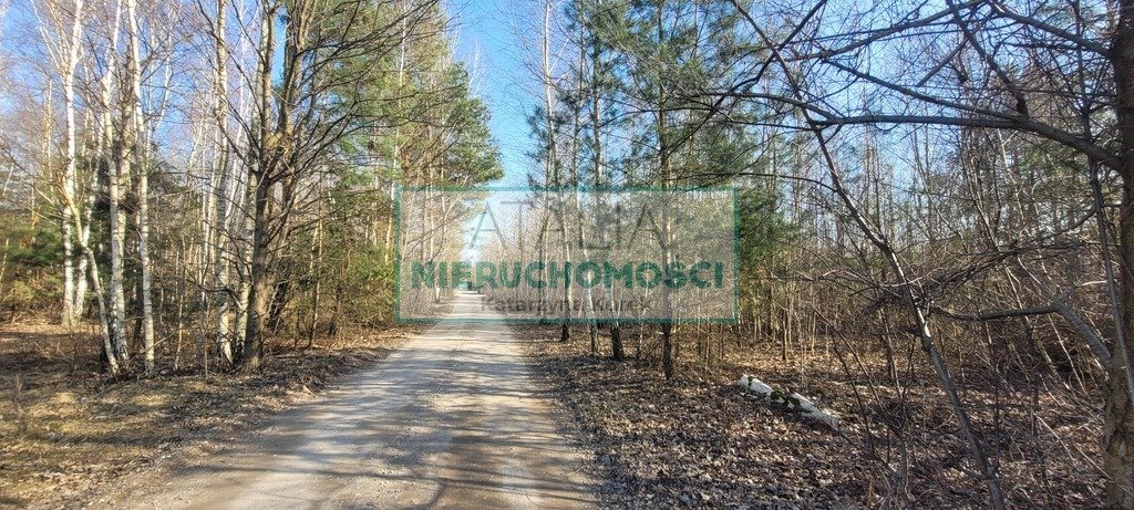 Działka 1000 m² z mediami, MPZP, las i S8 w pobliżu - zapraszam Wycinki Osowskie  1 000m2 Foto 1