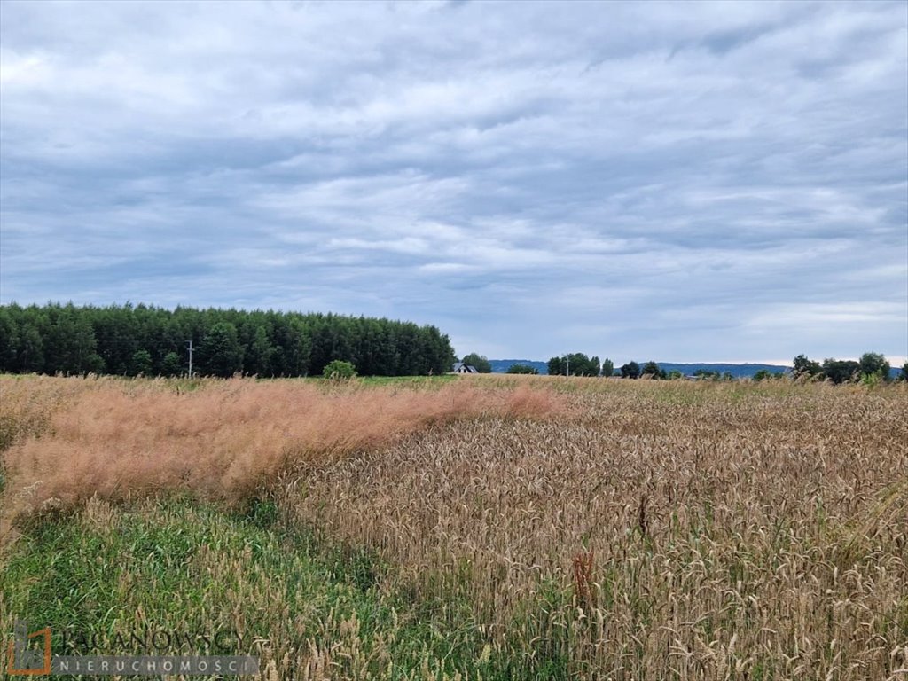 Działka budowlana na sprzedaż Piekary  20 395m2 Foto 3