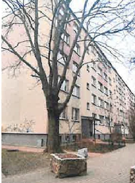 Mieszkanie trzypokojowe na sprzedaż Siedlce, Władysława Jagiełły  62m2 Foto 2