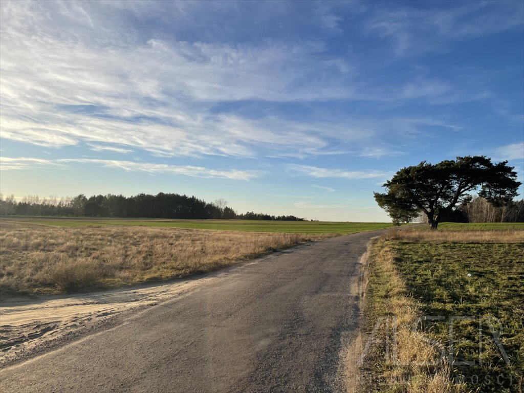 Działka budowlana na sprzedaż Prabuty  7 770m2 Foto 6