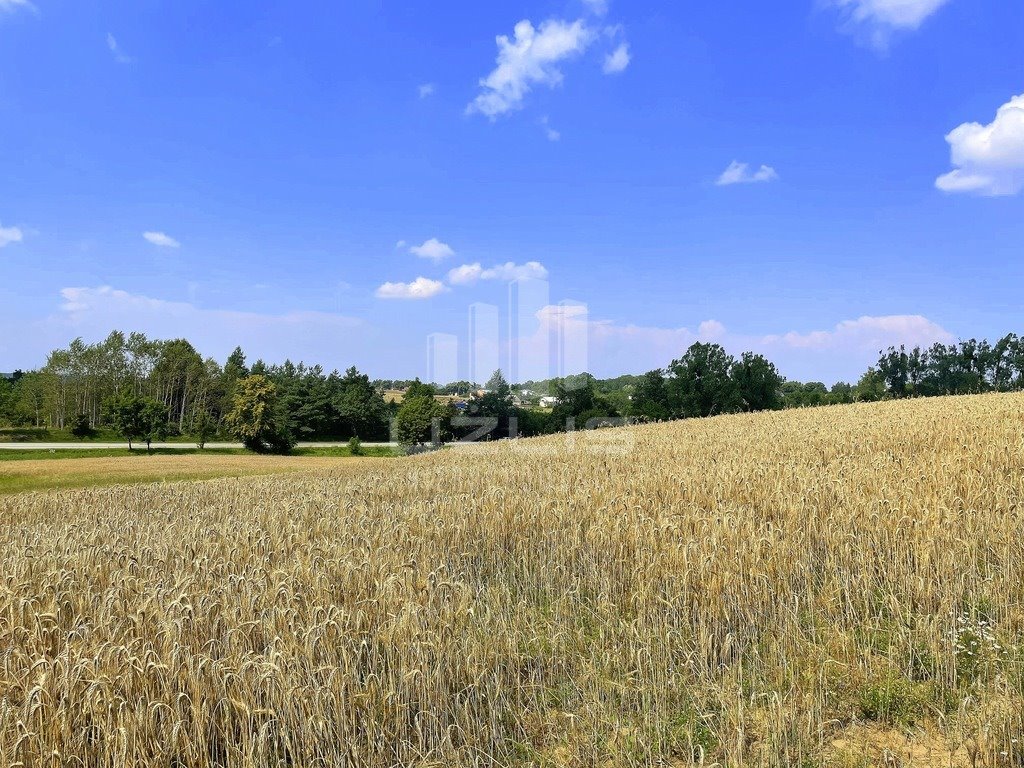 Działka inna na sprzedaż Rakowiec  895m2 Foto 20