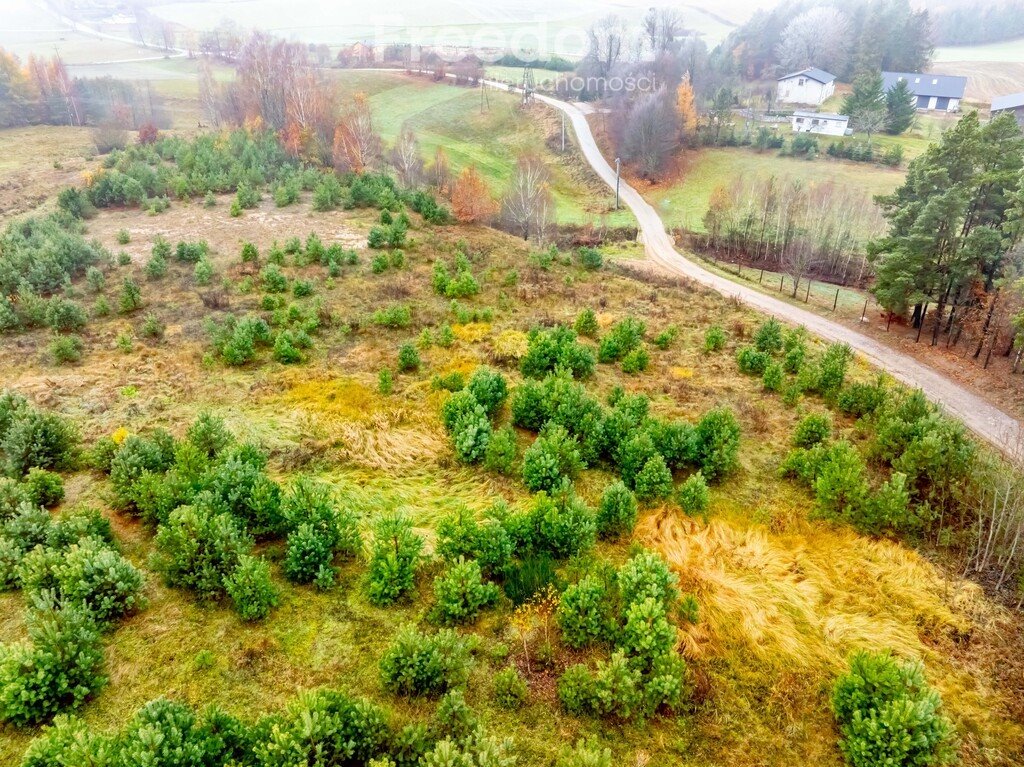 Działka budowlana na sprzedaż Czarna Huta, Szara  15 200m2 Foto 1