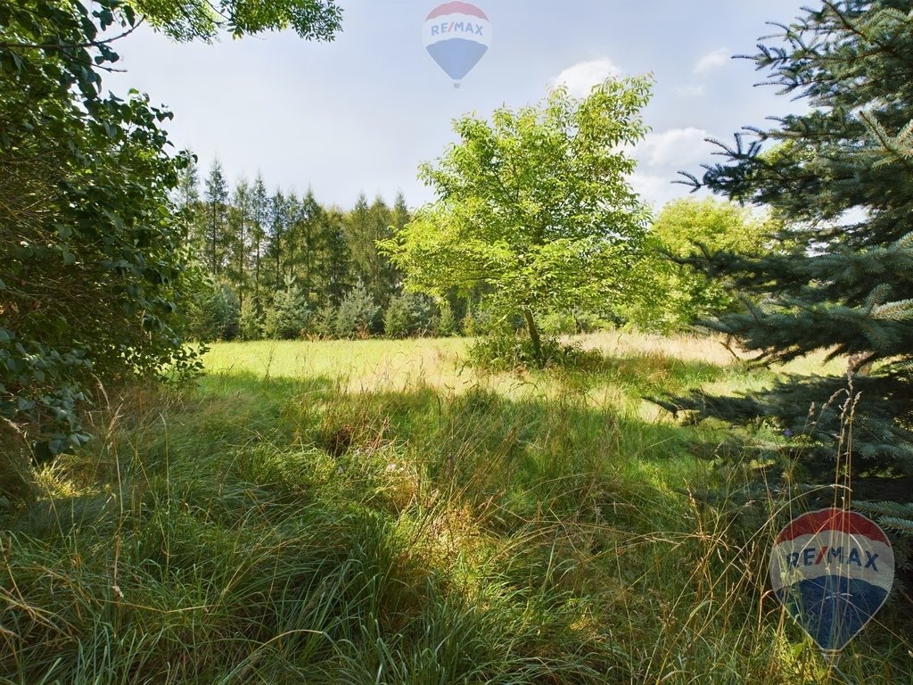 Działka rekreacyjna na sprzedaż Lenarcice  1 658m2 Foto 5