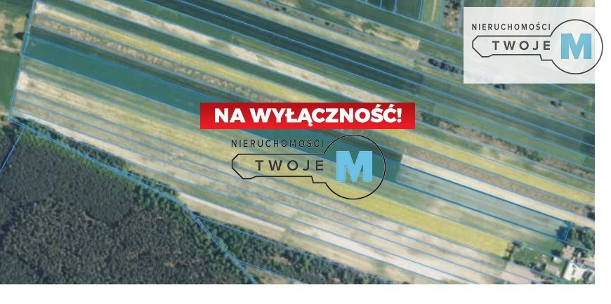 Działka rolna na sprzedaż Nagłowice, Zdanowice  25 249m2 Foto 5