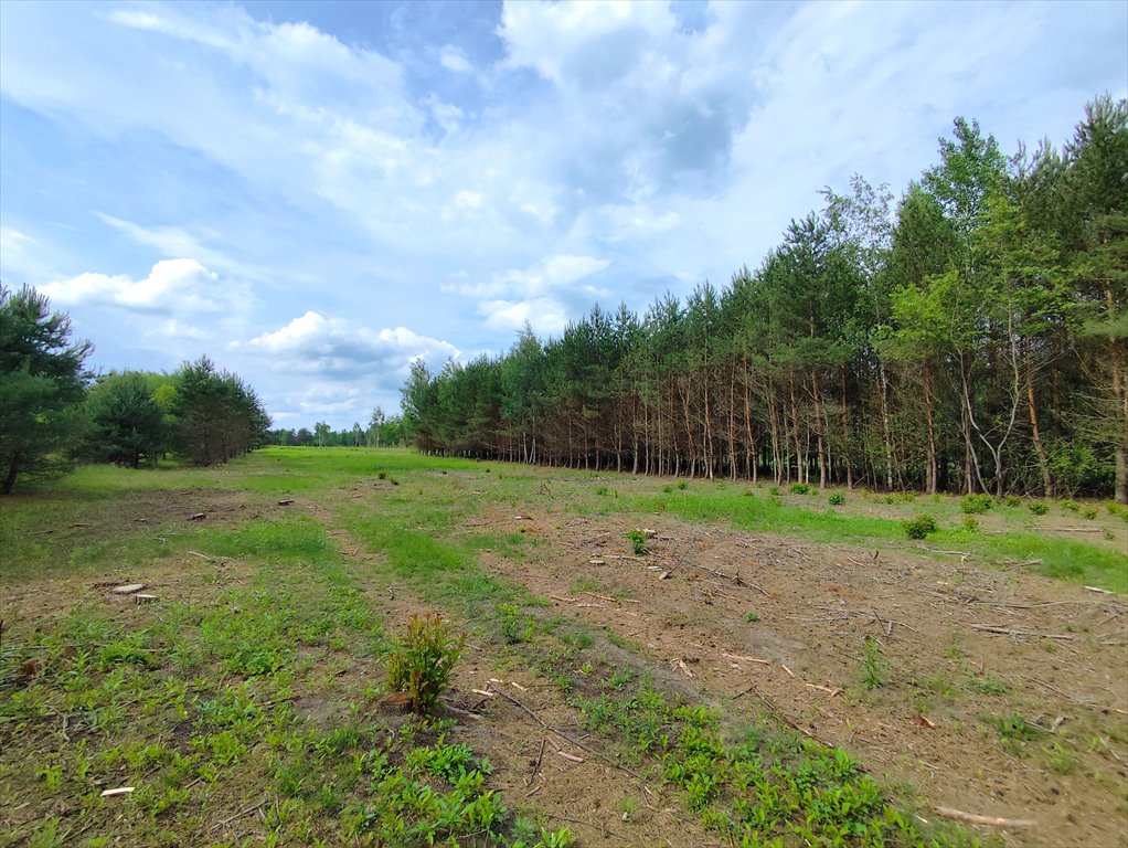 Działka 2,97 ha z mediami i lasem w Uściążu Uściąż  29 700m2 Foto 1