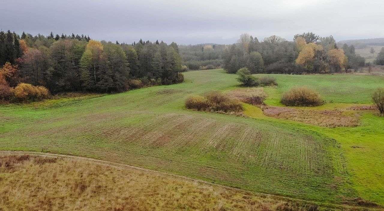 Działka rolna na sprzedaż Świętajno  3 010m2 Foto 13