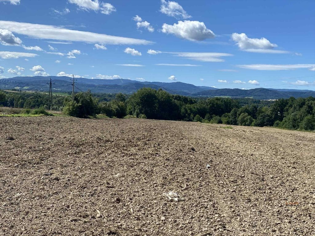 Sprzedam widokową działkę 3,5 tys. m² z mediami w Frydrychowicach Frydrychowice  3 500m2 Foto 1