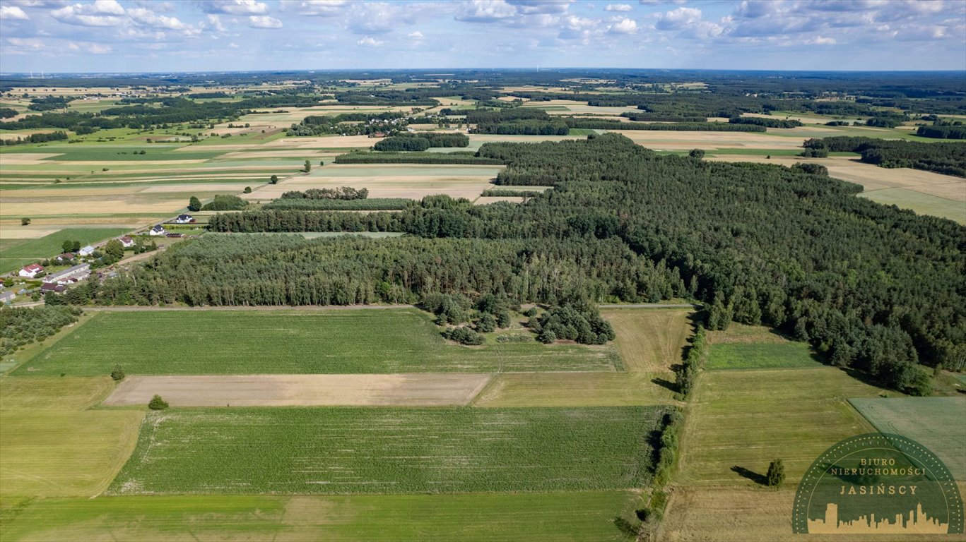 Działka inna na sprzedaż Czarnocin, Czarnocin  20 385m2 Foto 2