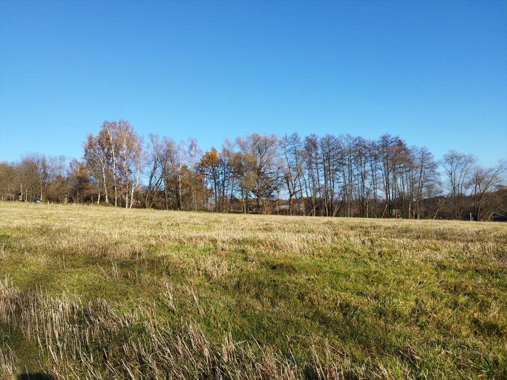 Działka budowlana na sprzedaż Kobylec  1 527m2 Foto 1