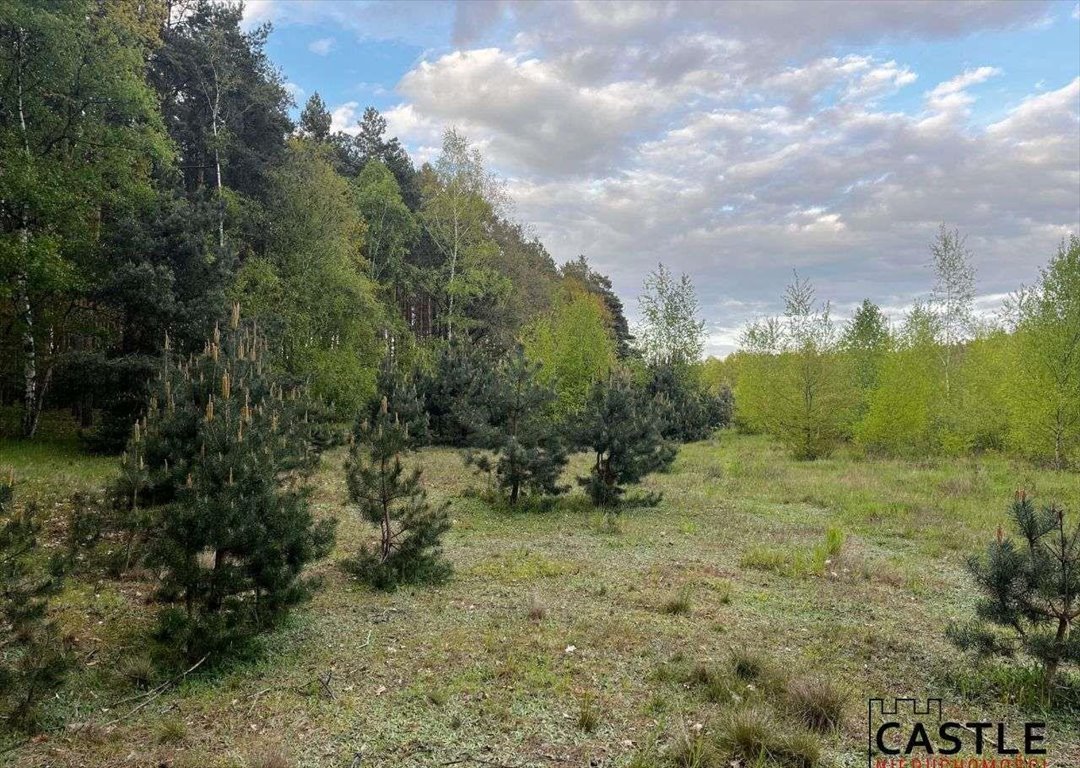 Działka budowlana na sprzedaż Przyłęk  19 025m2 Foto 9