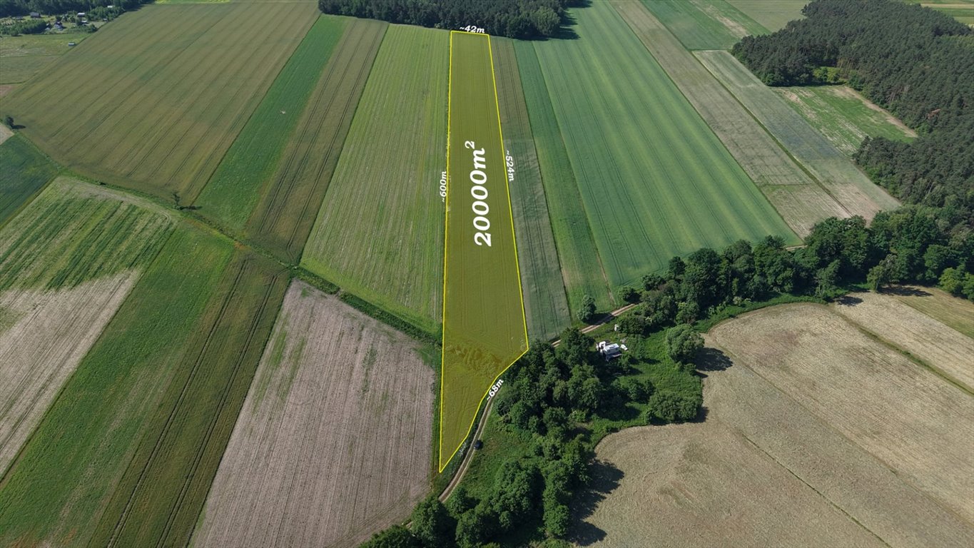 Działka rolna na sprzedaż Modzele-Bartłomieje  20 000m2 Foto 1