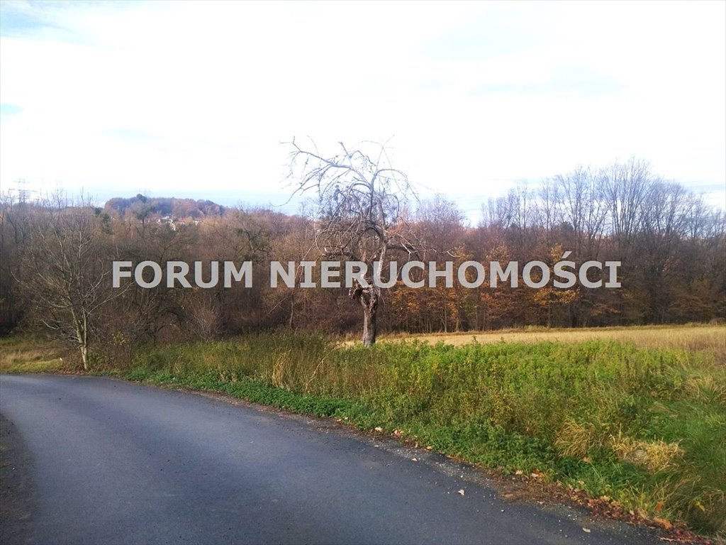 Działka 19 880 m² z mediami, spokojna okolica - zapraszam Łazy  19 880m2 Foto 1