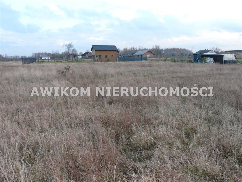 Działka rolna na sprzedaż Skierniewice, Sierakowice Lewe  11 173m2 Foto 11