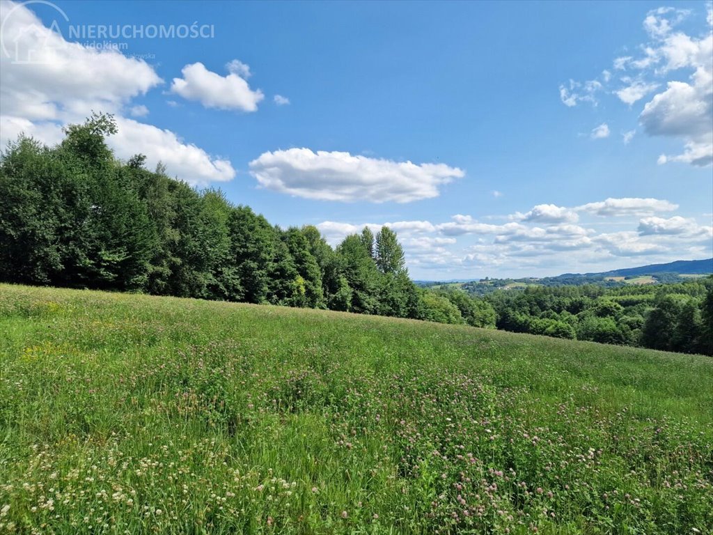 Działka budowlana na sprzedaż Błażkowa  2 559m2 Foto 6