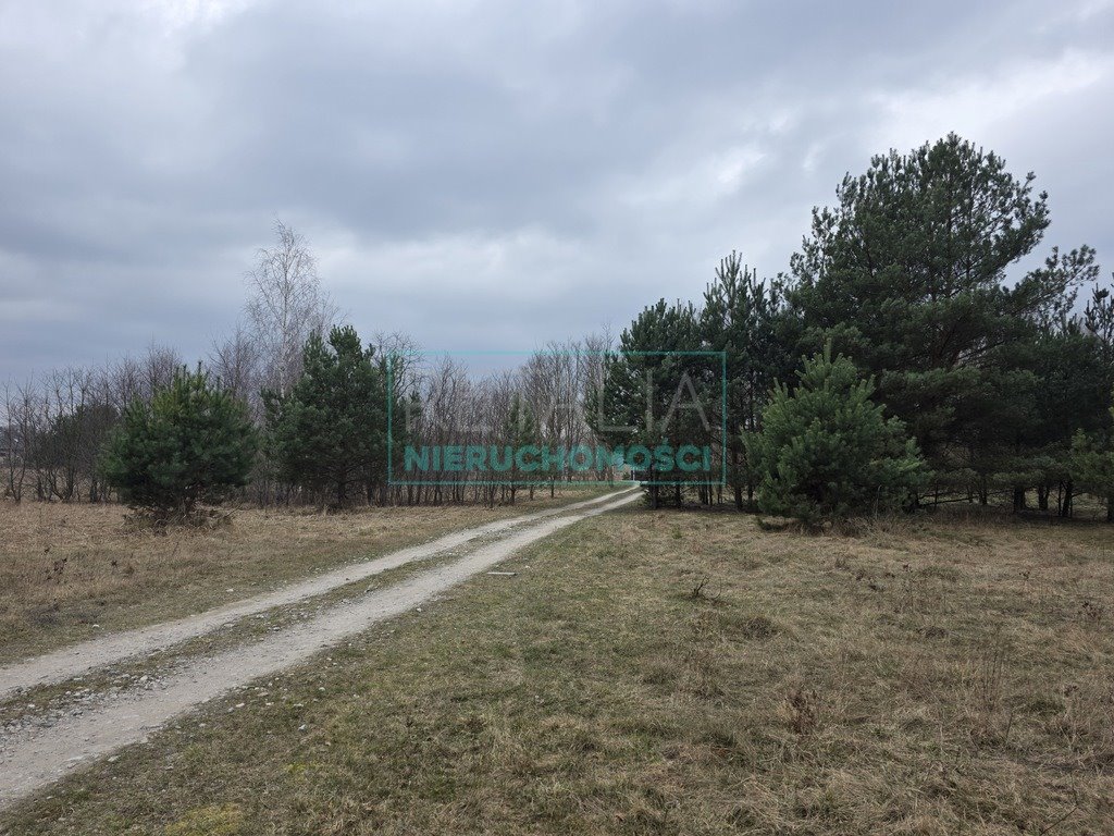 Działka Budy Zosine 1172 m² z mediami i możliwością dokupu Budy Zosine  1 172m2 Foto 1