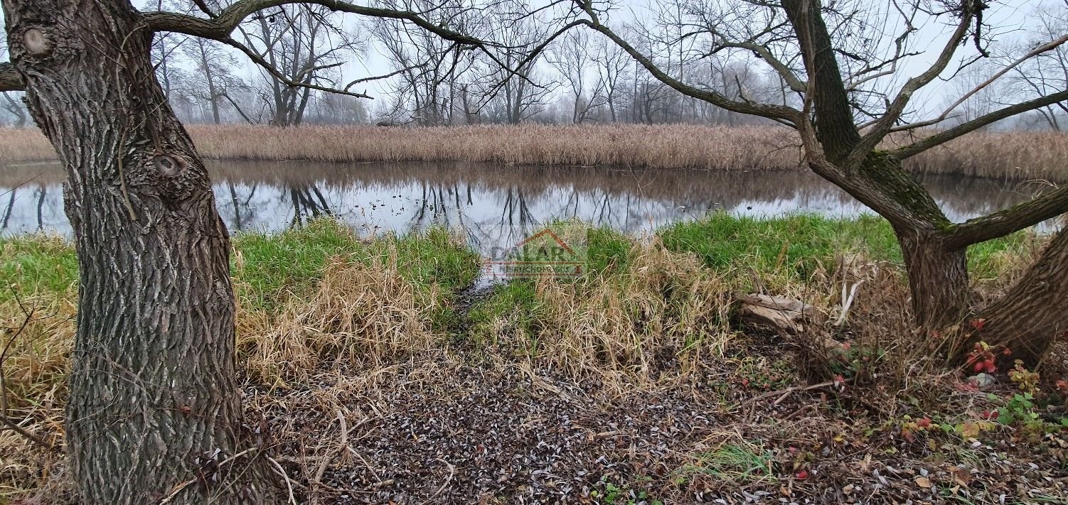 Działka budowlana na sprzedaż Cieciszew  2 903m2 Foto 1