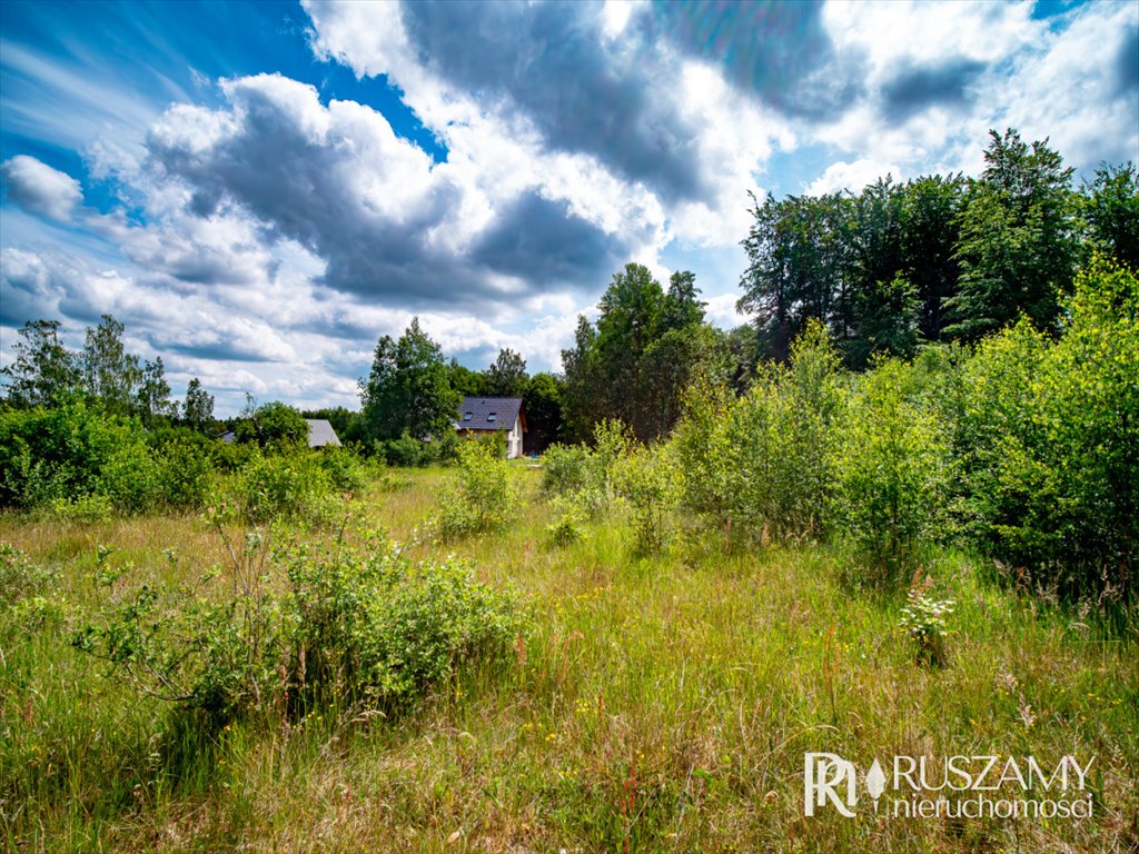 Działka budowlana na sprzedaż Przyjaźń, Mała Przyjaźń, Świerkowa  3 397m2 Foto 3