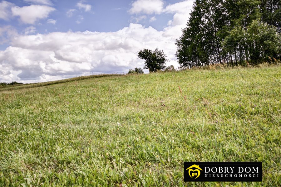 Działka rolna na sprzedaż Przełomka  2 200m2 Foto 19