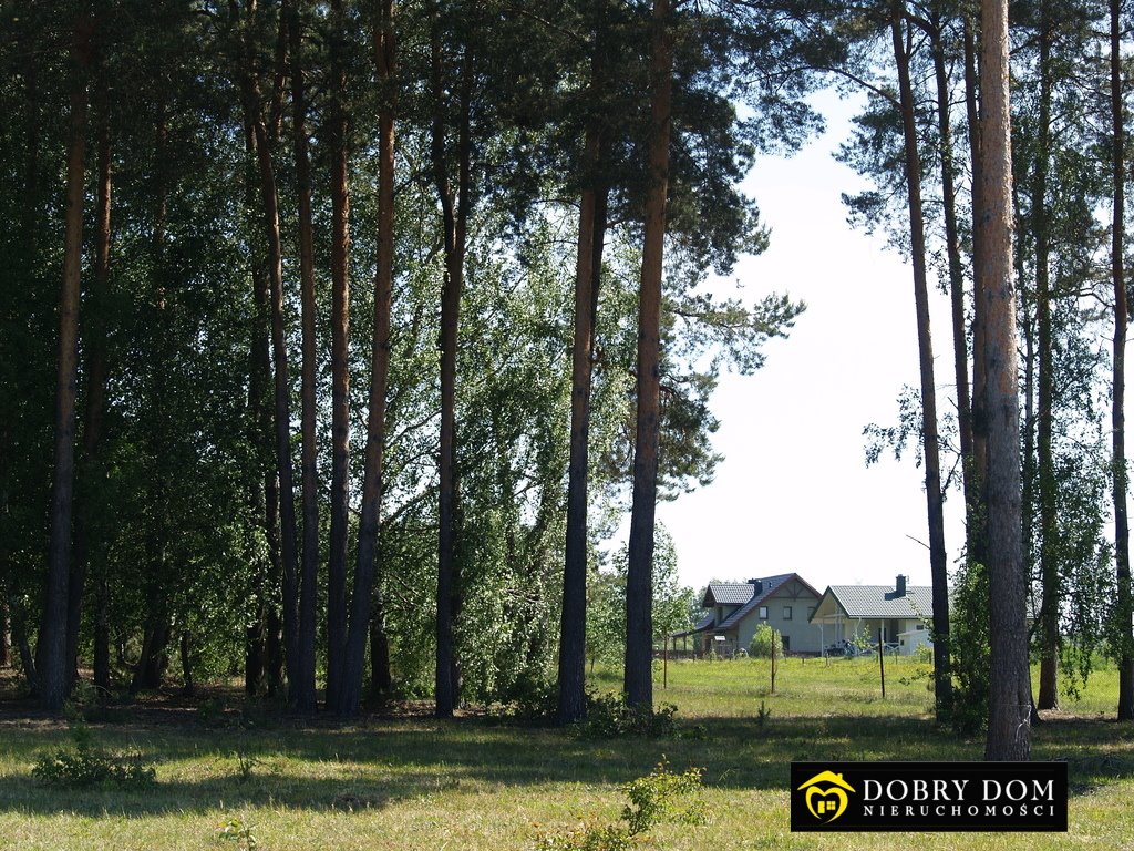 Działka budowlana na sprzedaż Suraż  1 400m2 Foto 7