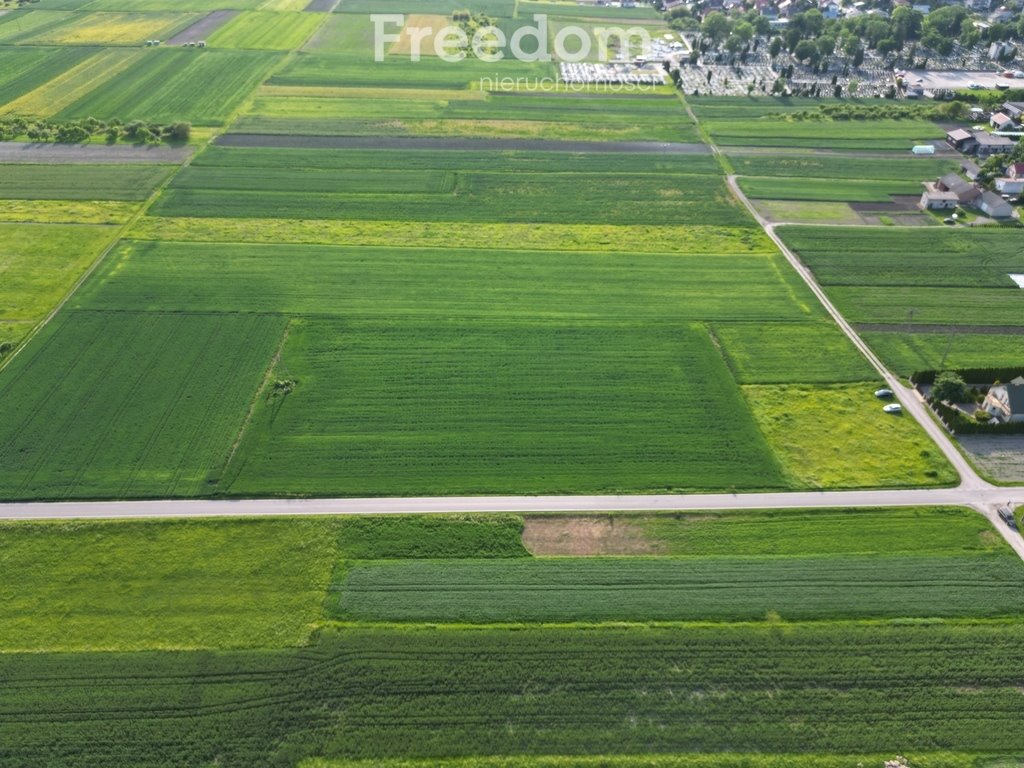 Działka budowlana na sprzedaż Opole Lubelskie, Garbarska  10 400m2 Foto 1