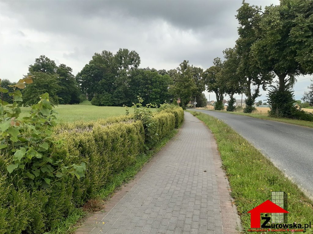 Działka inna na sprzedaż Leśnica, Zalesie Śląskie  2 300m2 Foto 1