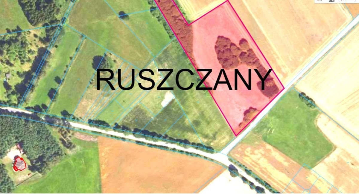 Działka siedliskowa na sprzedaż Ruszczany  22 100m2 Foto 1