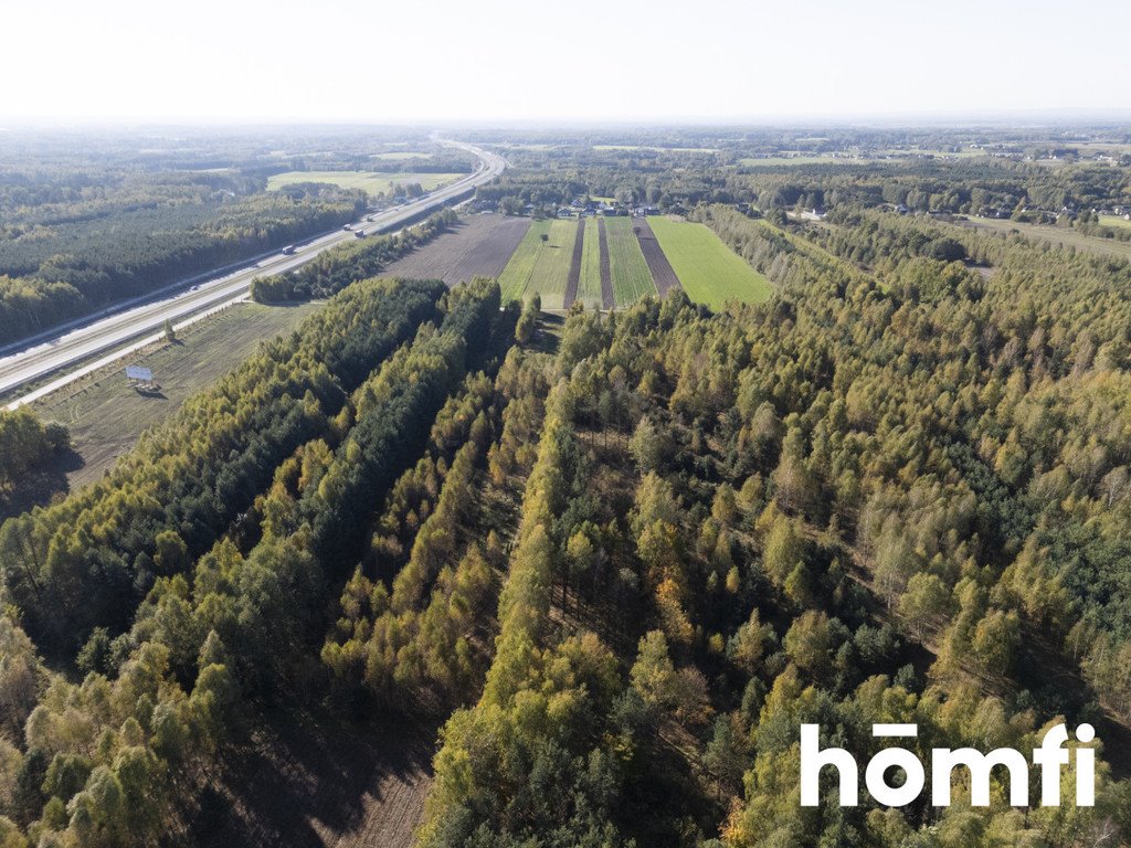 Działka inna na sprzedaż Kacprowice  4 100m2 Foto 8