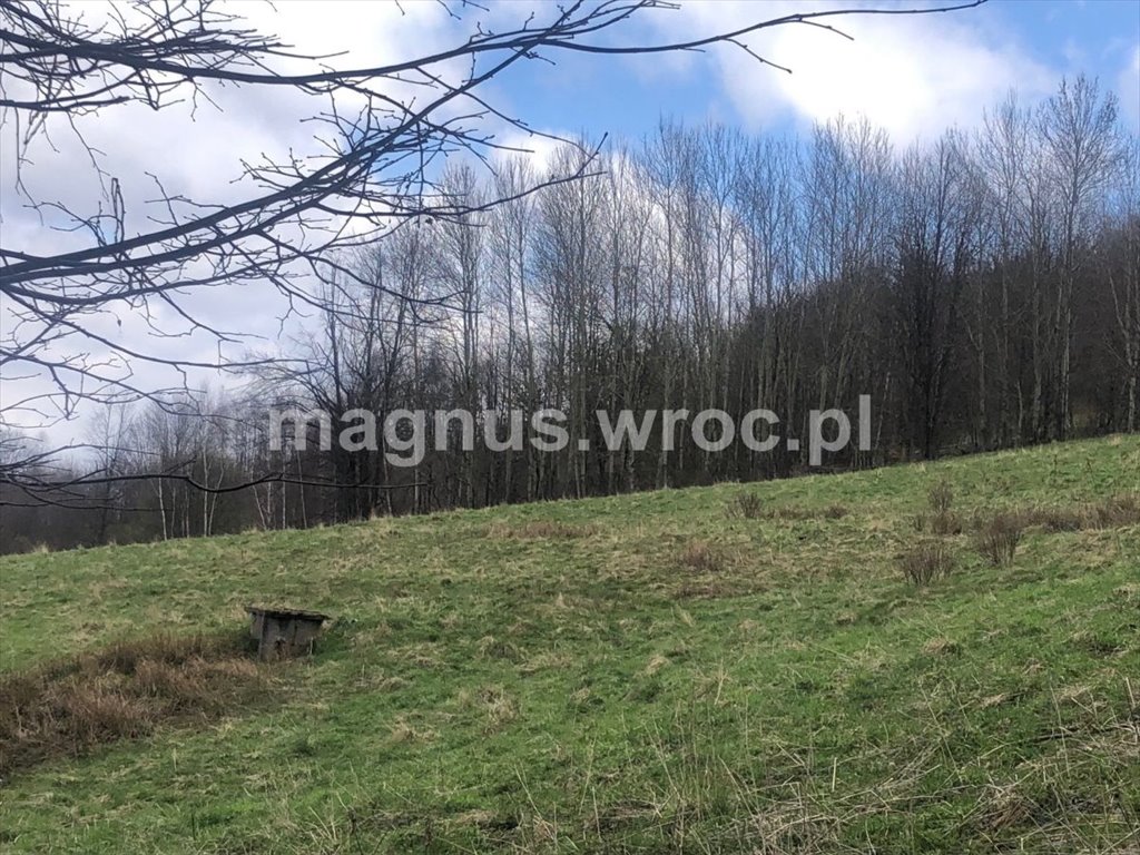 Działka rolna na sprzedaż Olszyniec, okolice Kolejowej  6 939m2 Foto 14