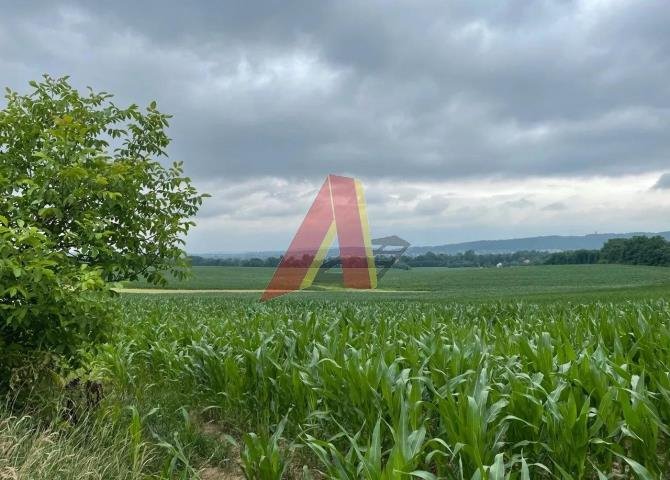 Działka budowlana na sprzedaż Karniowice, Krakowska  7 000m2 Foto 3