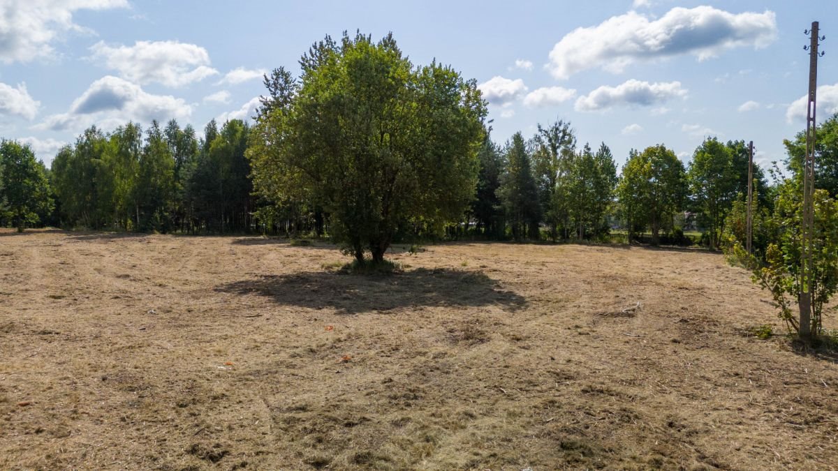 Działka budowlana na sprzedaż Koszęcin, Słowików  527m2 Foto 5