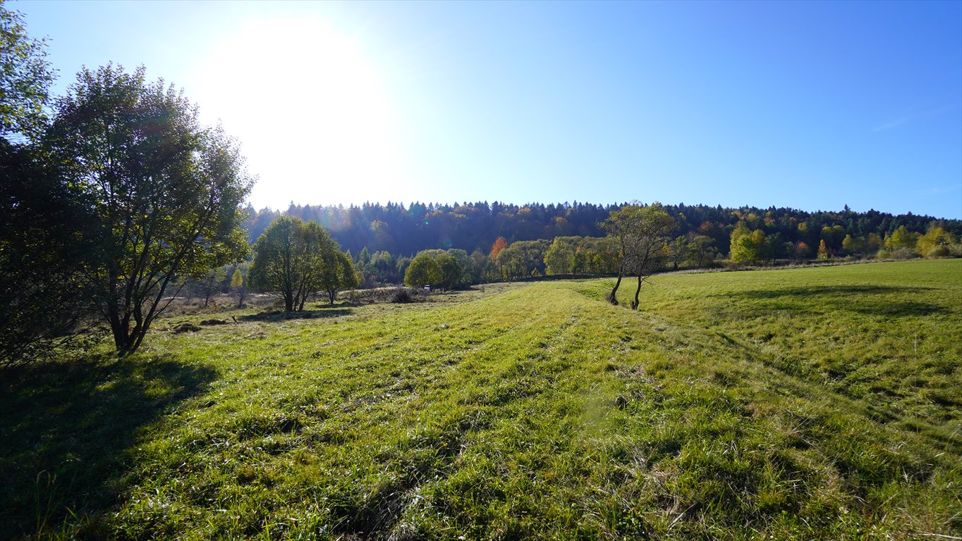 Działka budowlana na sprzedaż Klimkówka  11 300m2 Foto 1