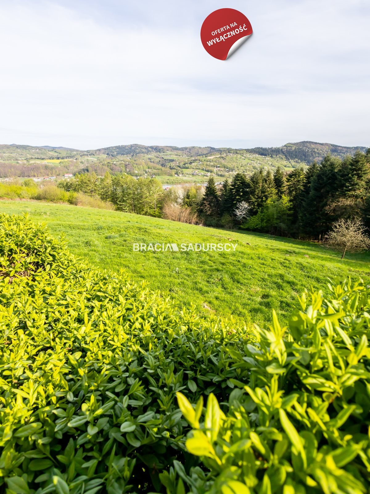 Działka budowlana na sprzedaż Czchów, Gawędówka  21 600m2 Foto 20