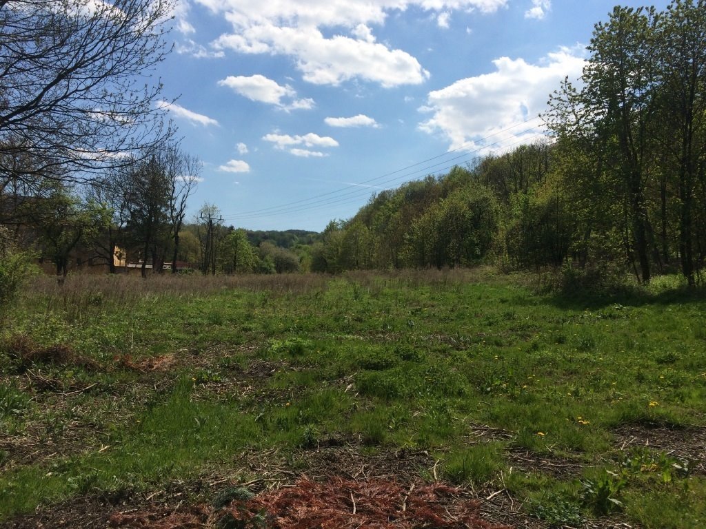 Działka 13 000 m² z możliwością podziału i dojazdem w Pełcznicy Świebodzice, Pełcznica  13 000m2 Foto 1