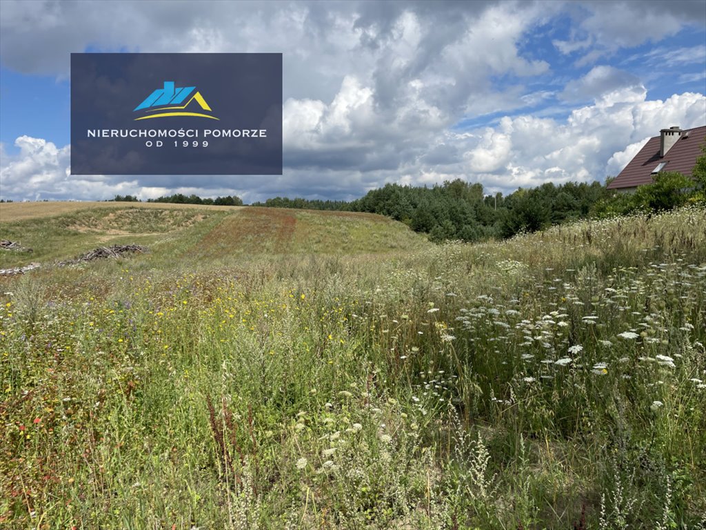 Działka rolna na sprzedaż Sokole  3 100m2 Foto 8