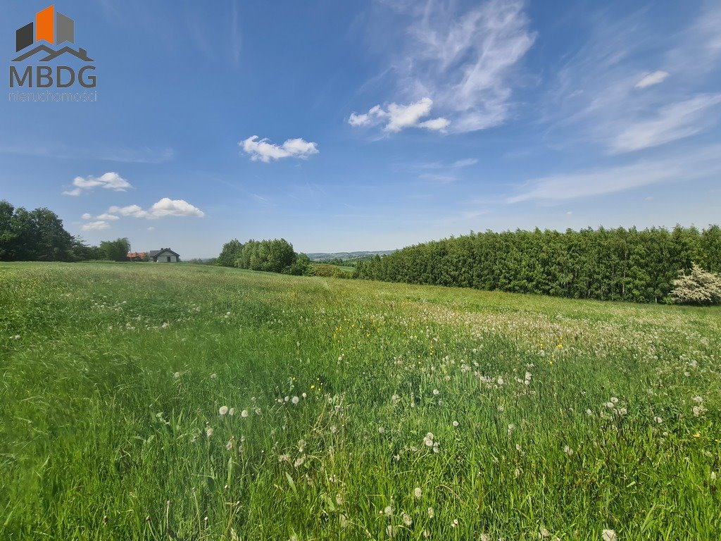 Działka budowlana na sprzedaż Zbydniów  8 800m2 Foto 2