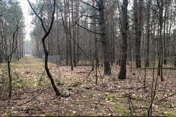 Działka inwestycyjna 3515 m² z mediami i dostępem do drogi Warszawa, Wawer, Miedzeszyn  3 515m2 Foto 1