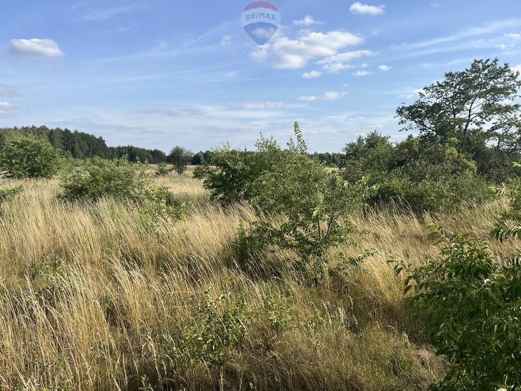 Działka budowlana na sprzedaż Łódź, Widzew, Mileszki  2 738m2 Foto 6