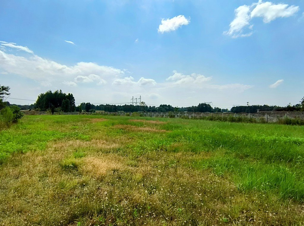 Działka budowlana na sprzedaż Widełka  1 000m2 Foto 6