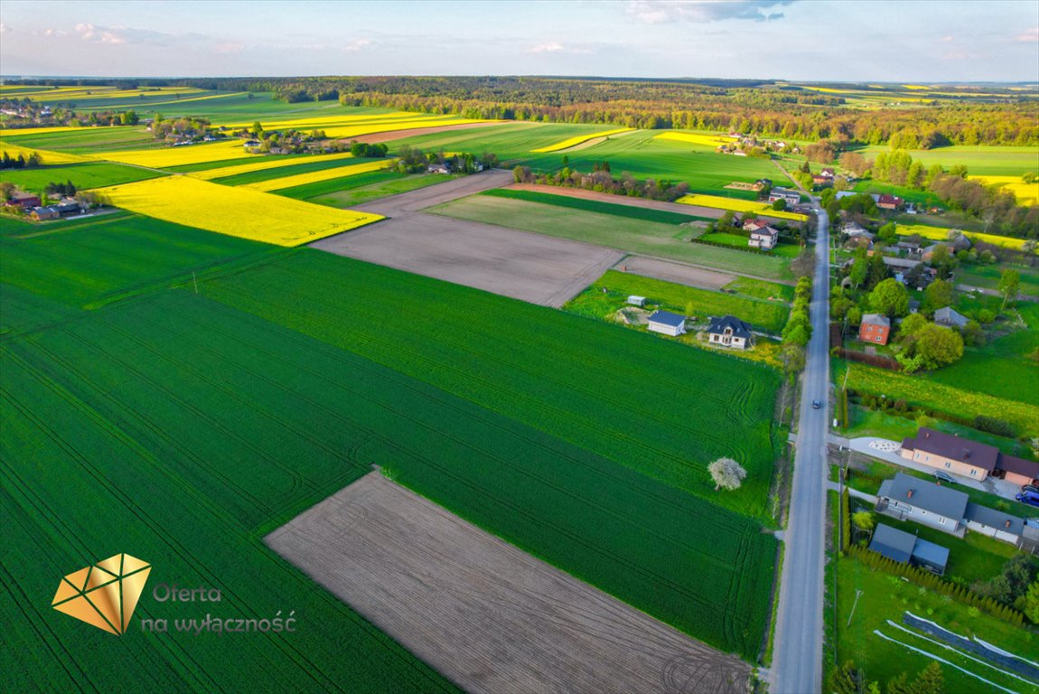 Działka rolna na sprzedaż Piotrkówek  3 200m2 Foto 4